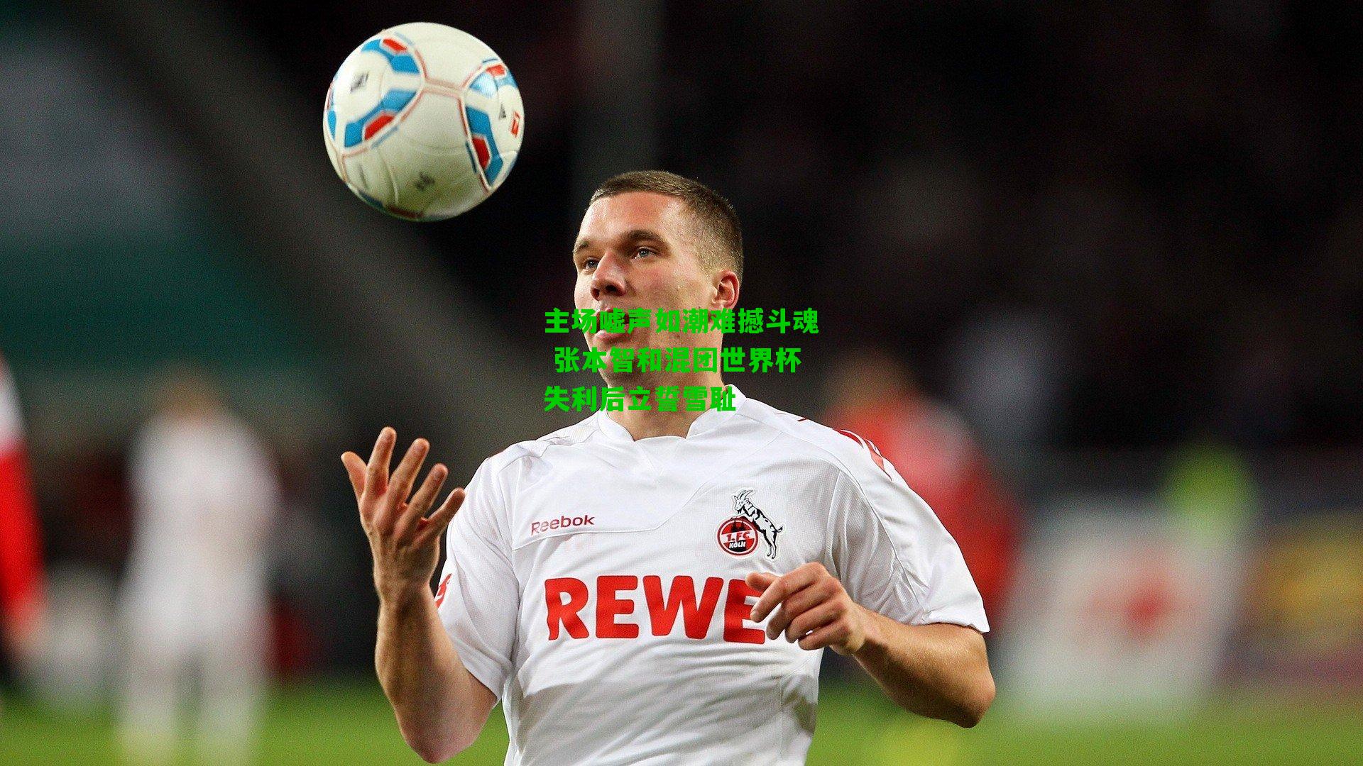 主场嘘声如潮难撼斗魂 张本智和混团世界杯失利后立誓雪耻